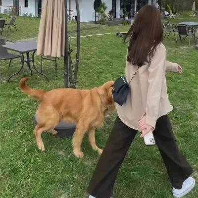 超能追爱记